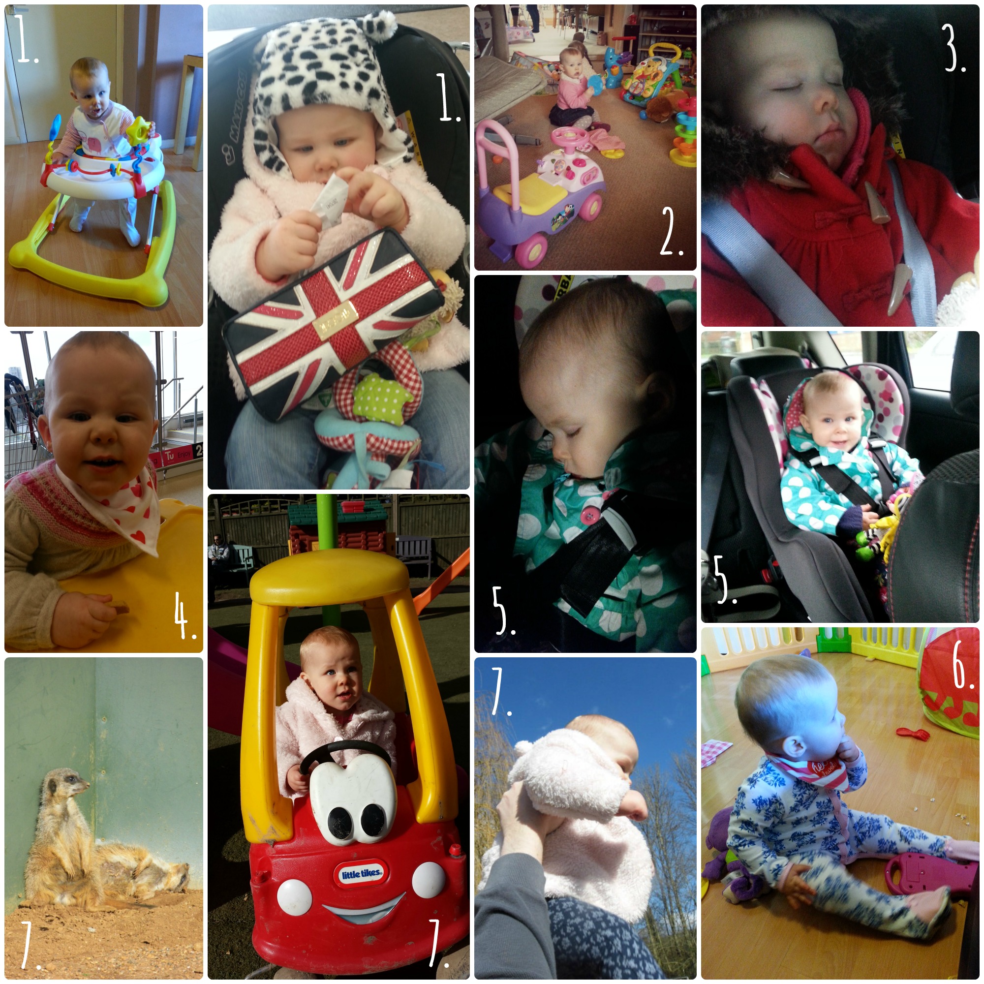 Our week