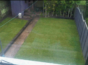 Child friendly garden