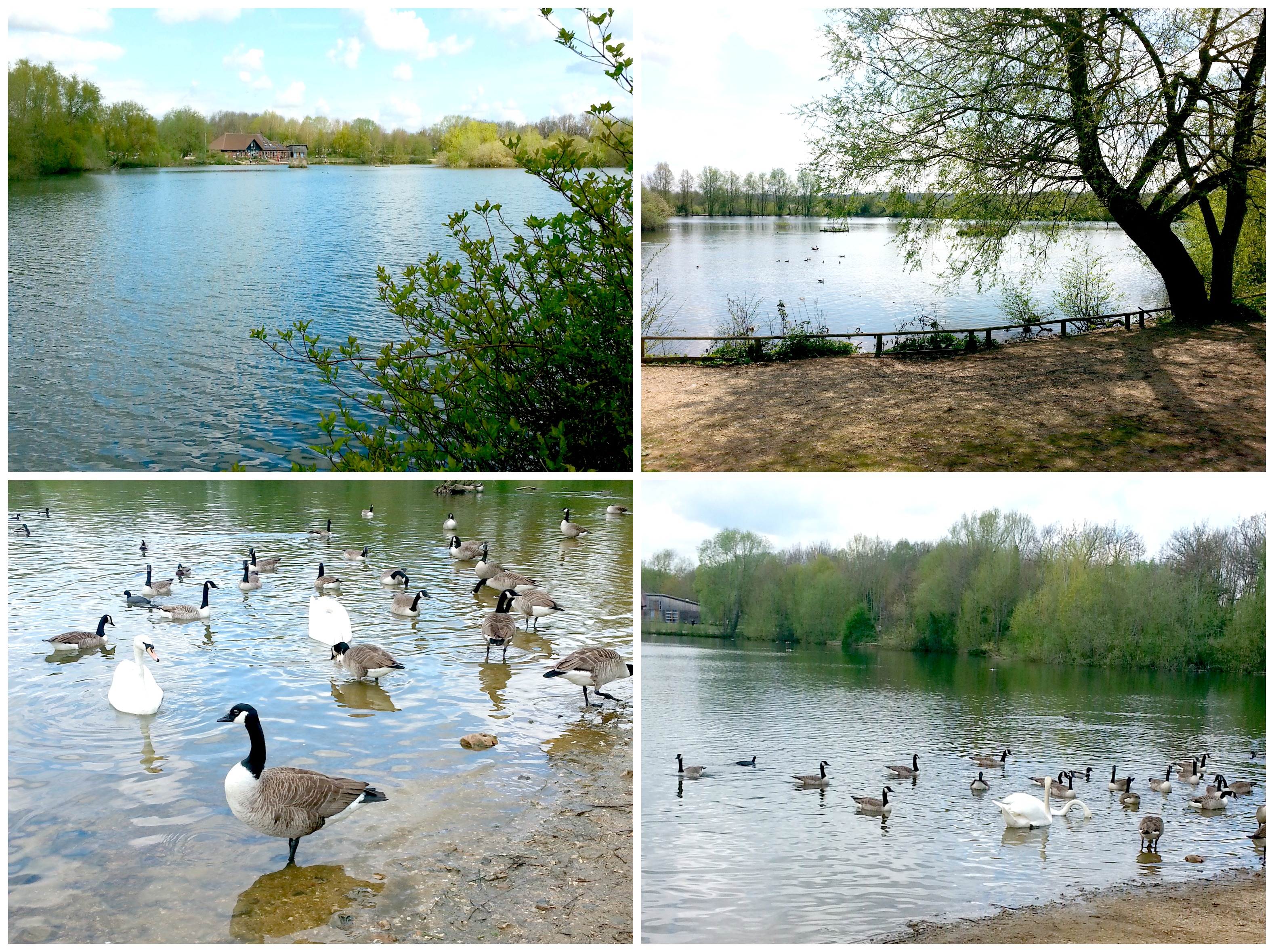 Lakes