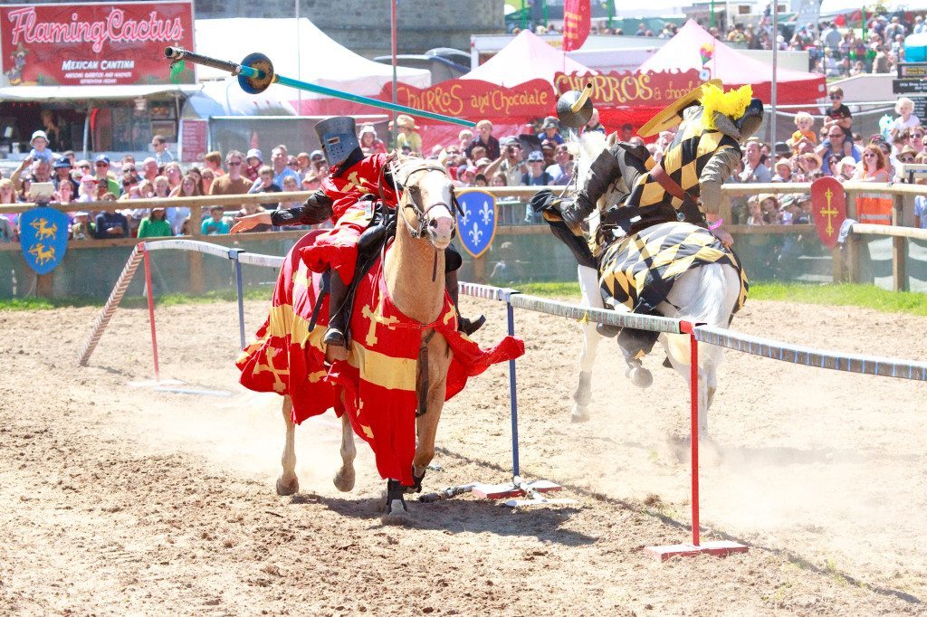 Jousting horses