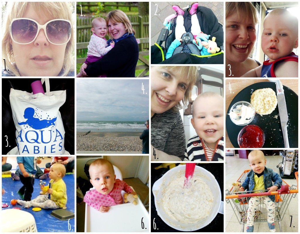 My week in pictures