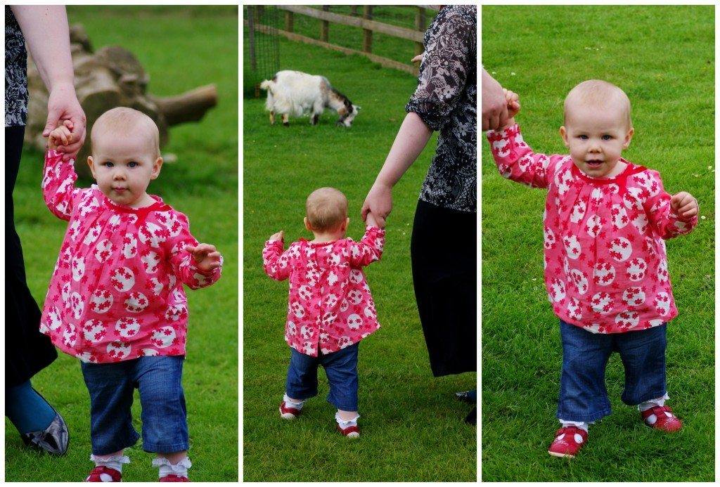 Cotswold Wildlife Park