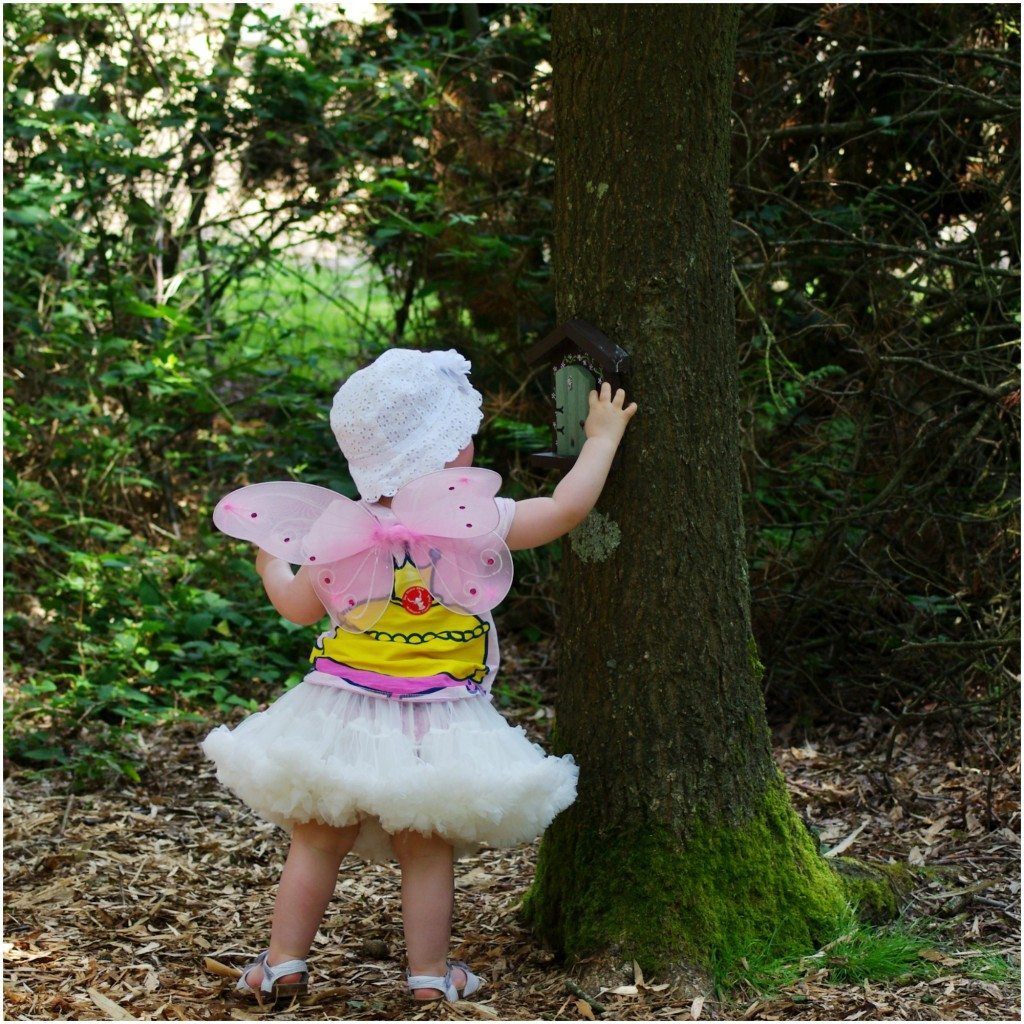 Fairy