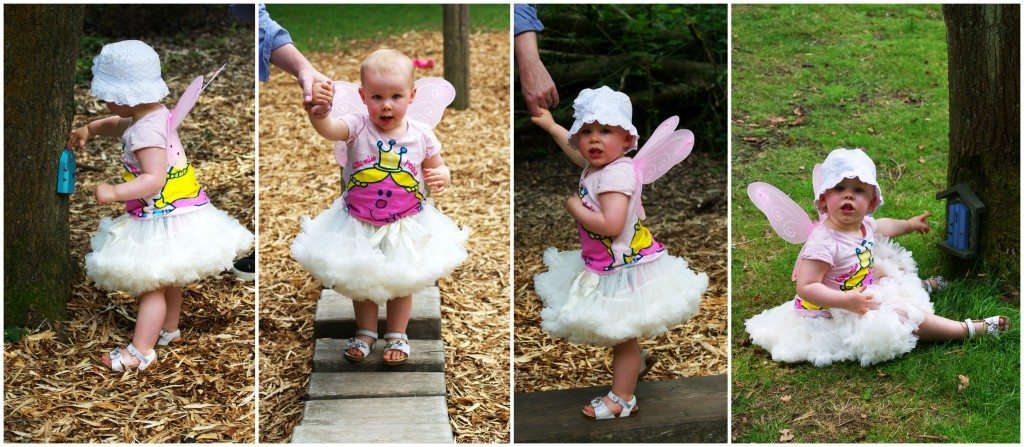 Fairy 5