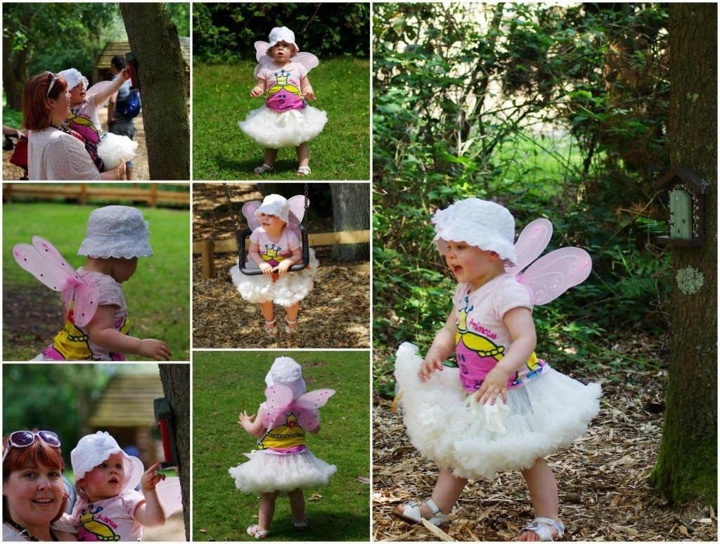 Fairy 7