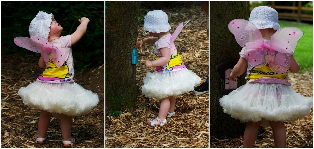 Fairy 