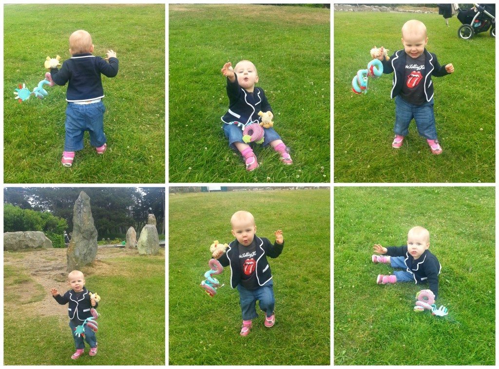 Welsh Mountain Zoo