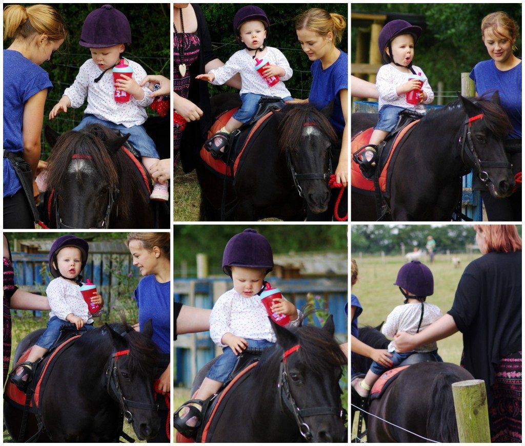 Baby pony ride