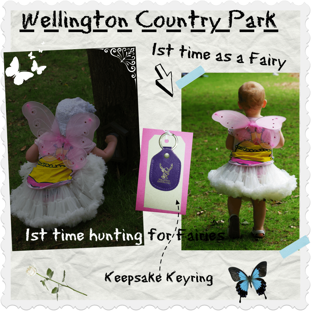 Wellington