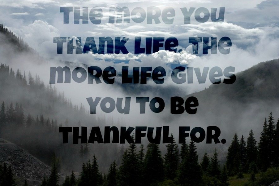 Gratitude13