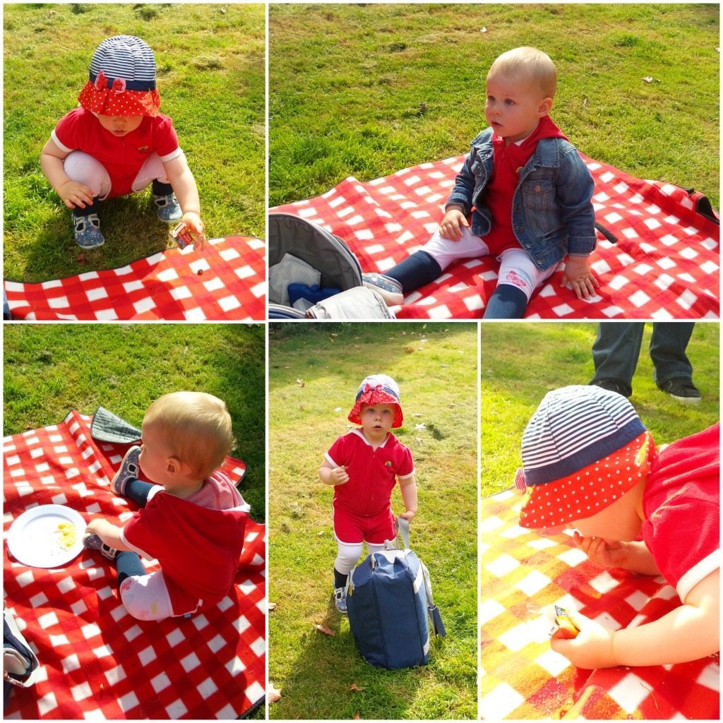 Ufton Picnic