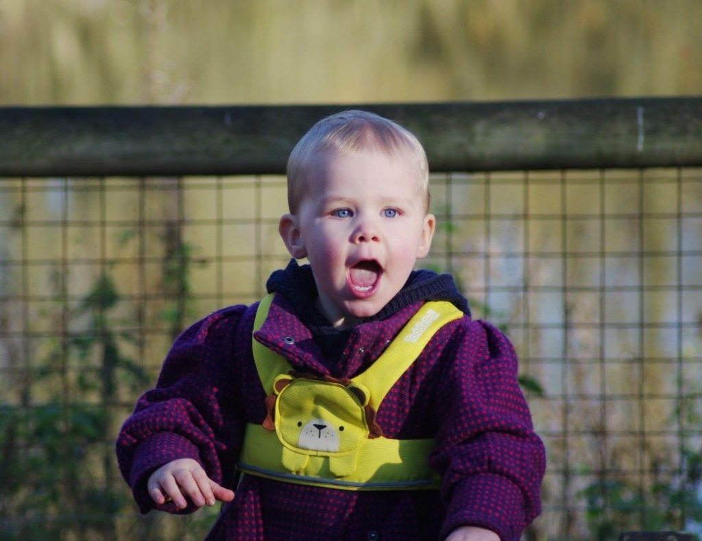Baby 4