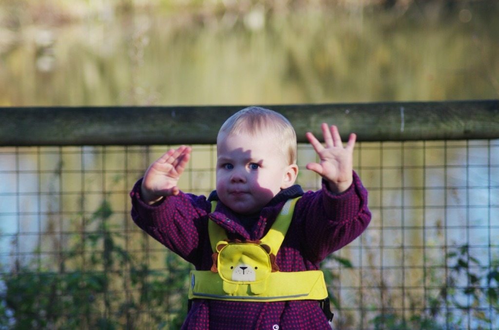 Baby 6
