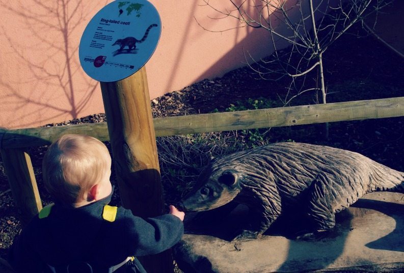 Marwell 14