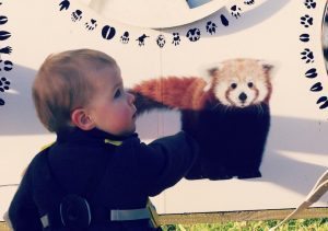 Marwell 15