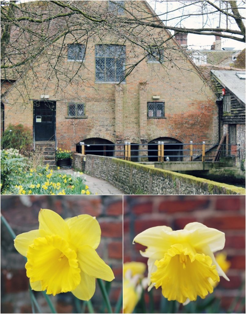 Mill Garden