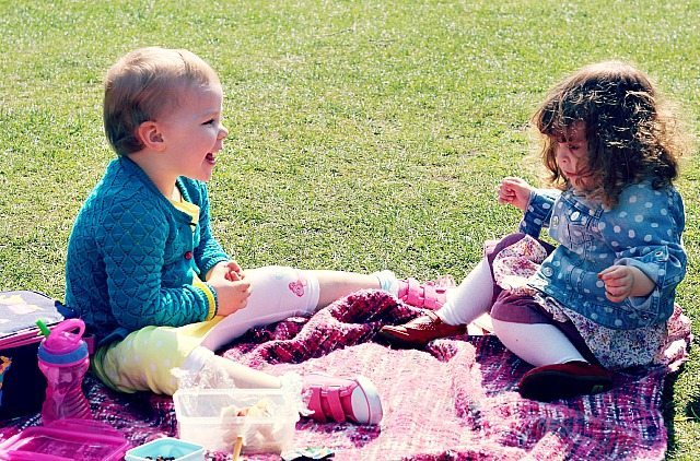 picnic 17