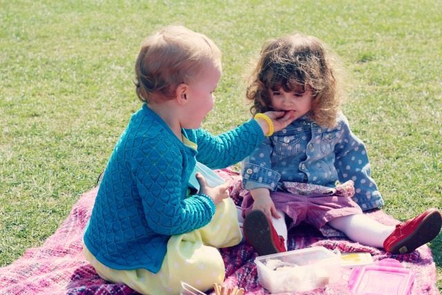 picnic 32