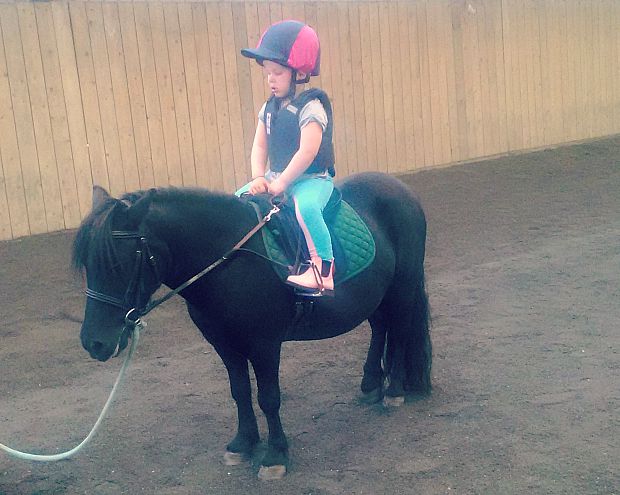 Phyllis pony
