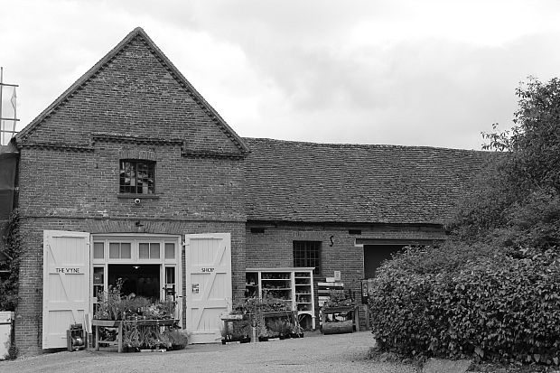 Shop