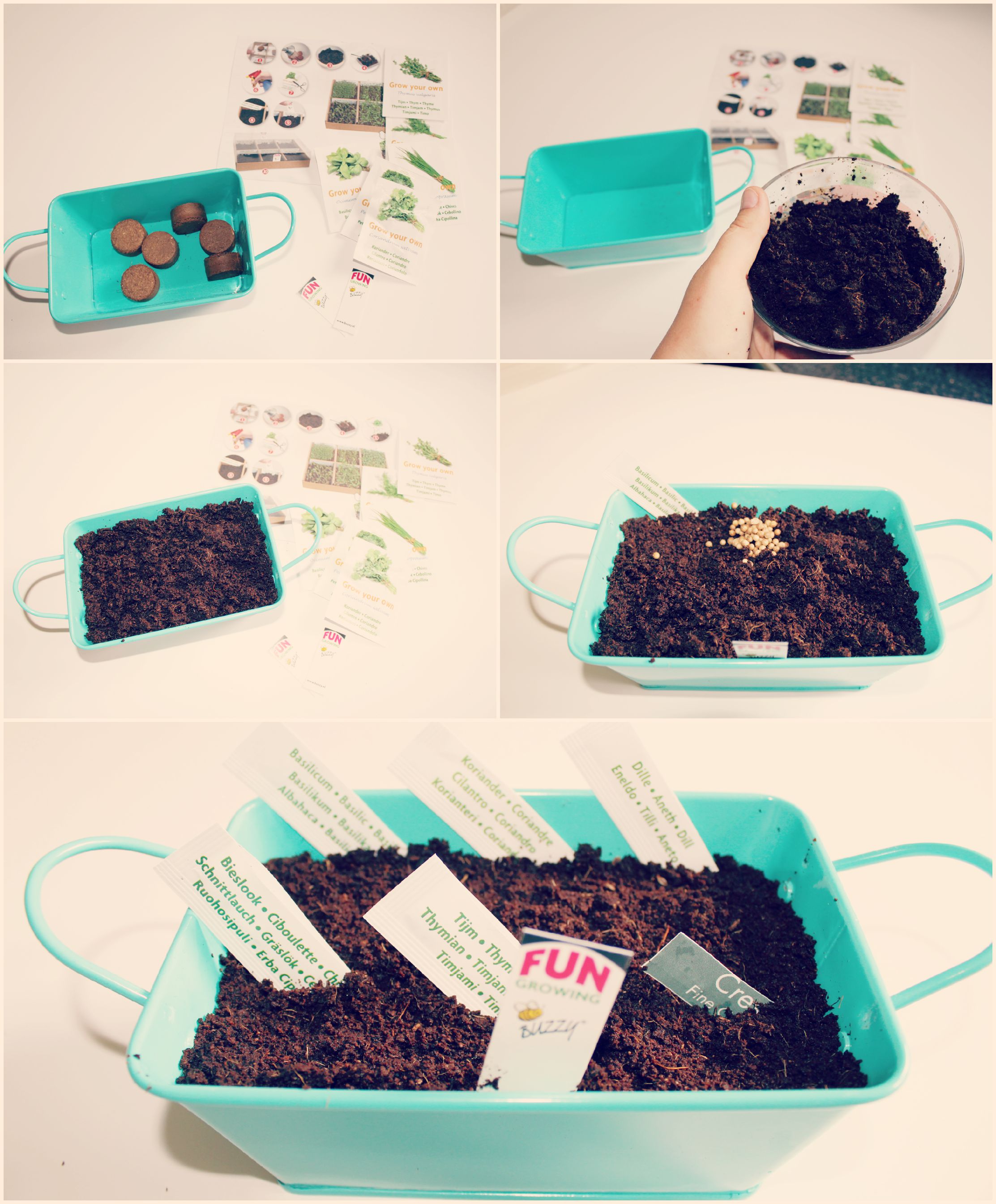 grow your own with kids