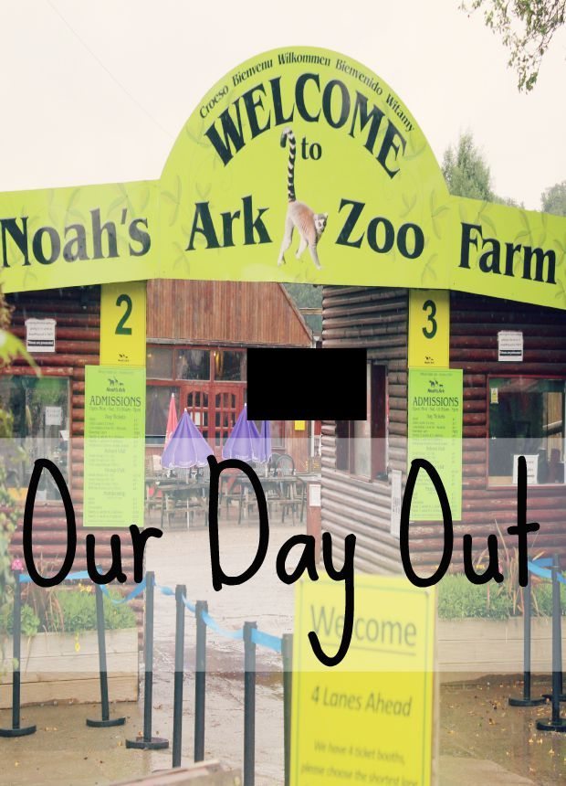 Noah's Ark Zoo Farm- Our day out