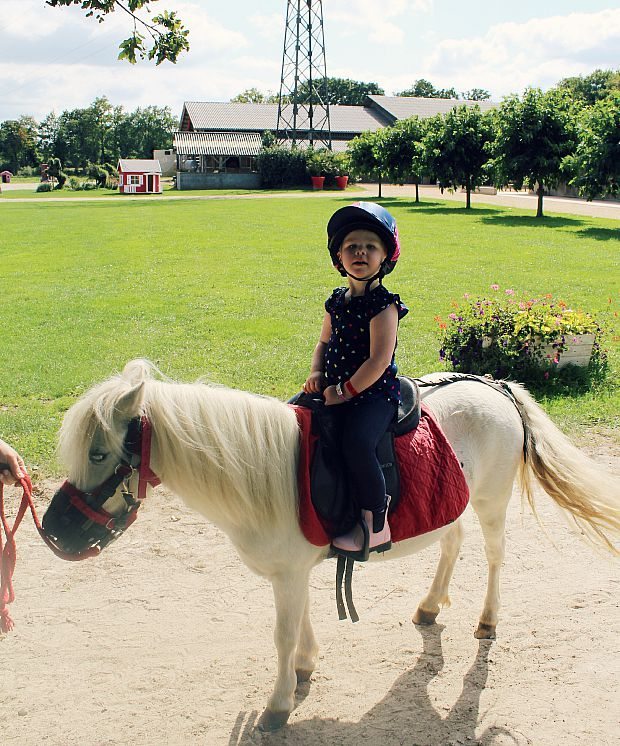 pony