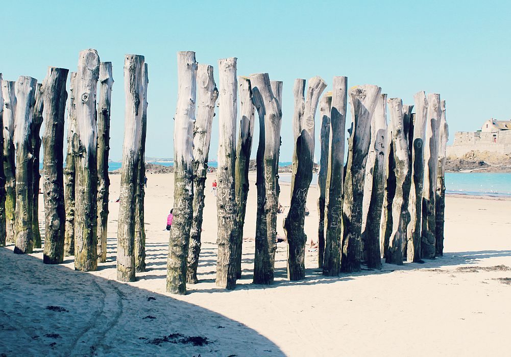 tree trunks