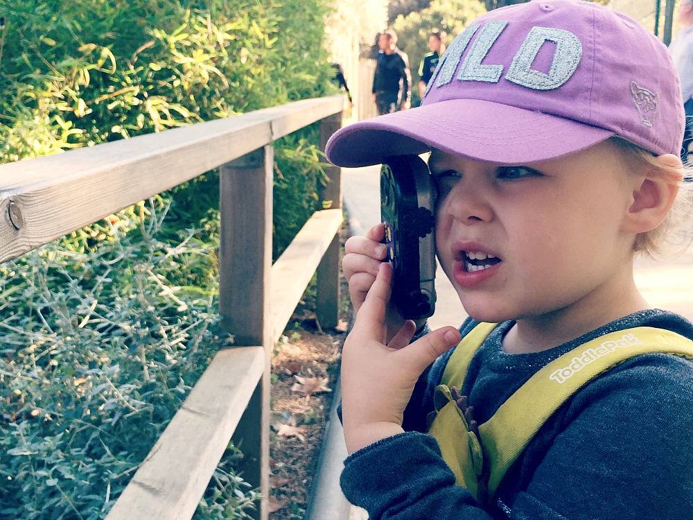 Baby photographer