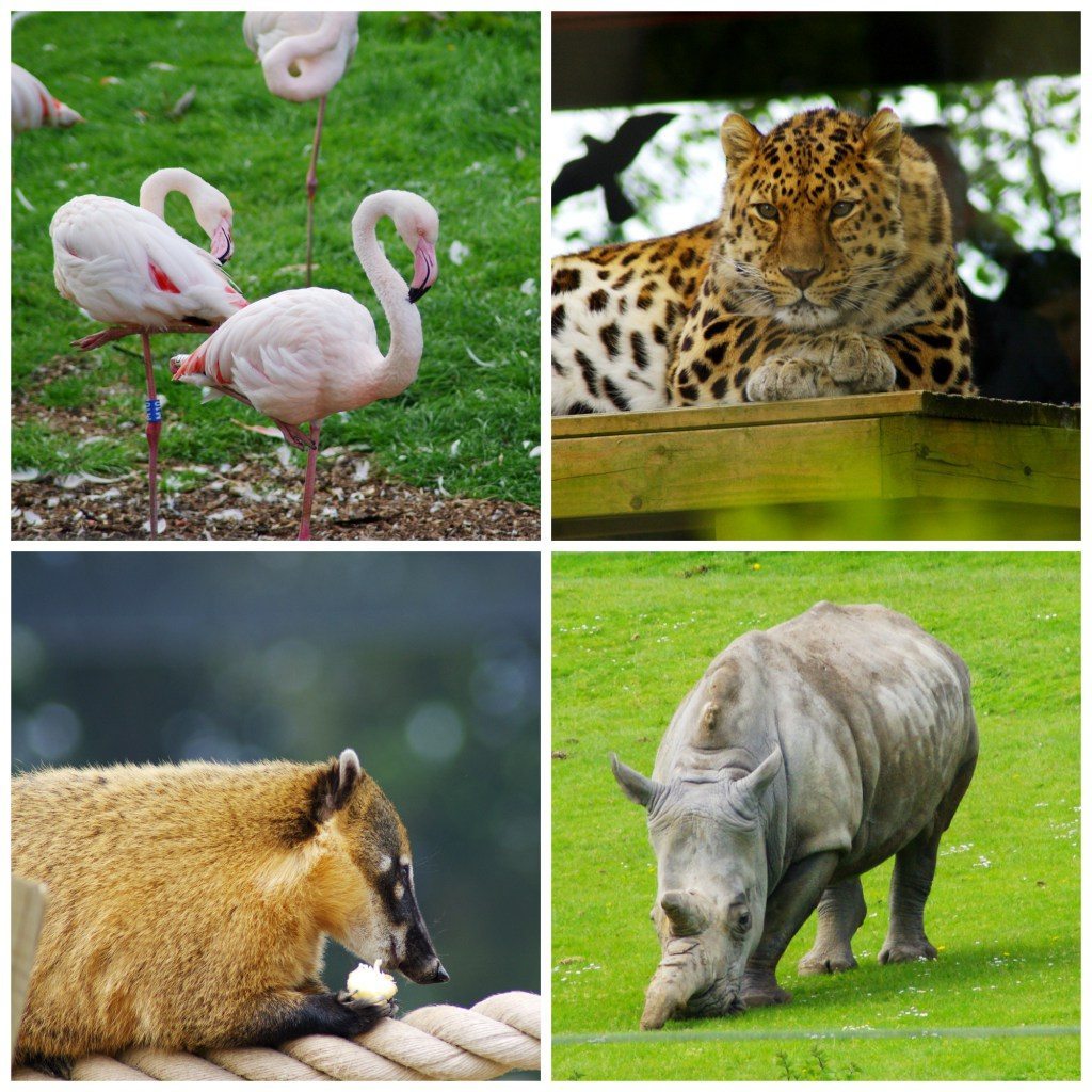 marwell