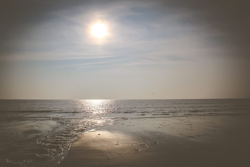 untitled-16