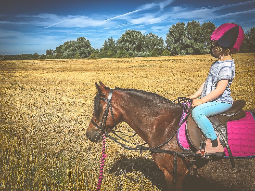 Baby and Sali the pony