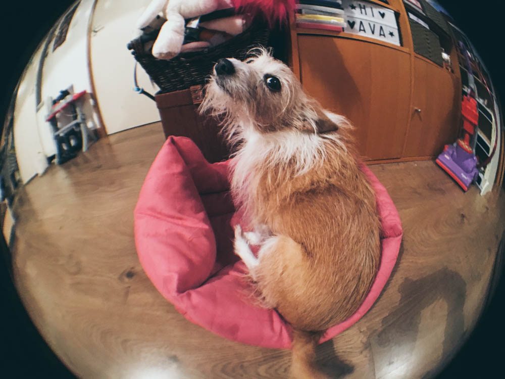 Olloclip