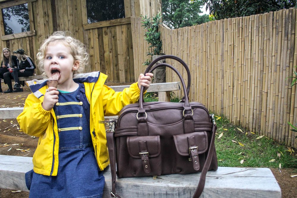 camera bag