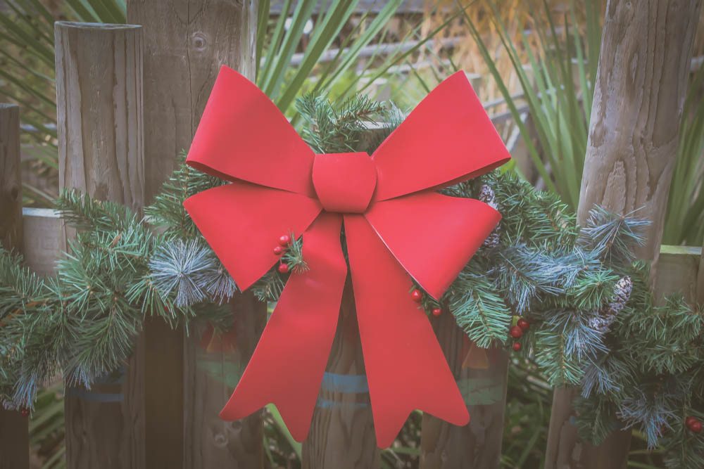 Chessington Christmas Tail
